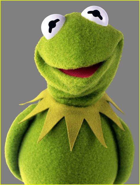 Kermit The Frog Has A New Girlfriend Meet Denise Photo 3450548