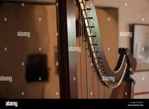 One Of 16 Pictures Of The Welsh Triple Harp Taken In Natural Light At A