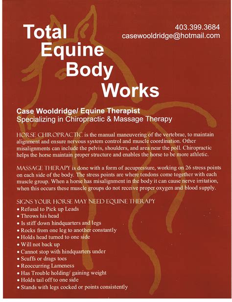 Total Equine Body Works Longview Ab