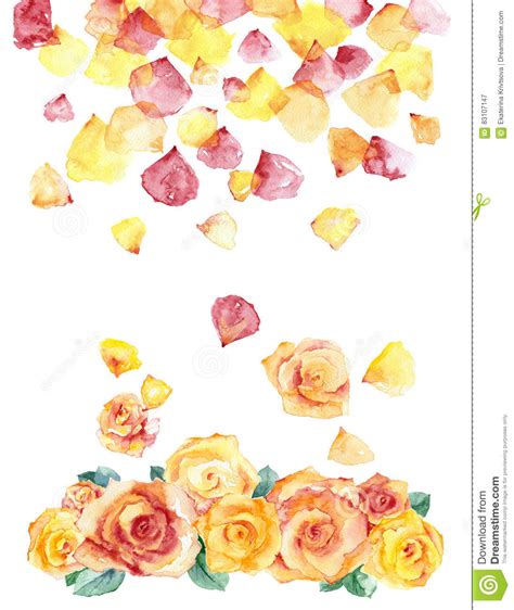 Watercolor Roses And Petals Stock Illustration Illustration Of