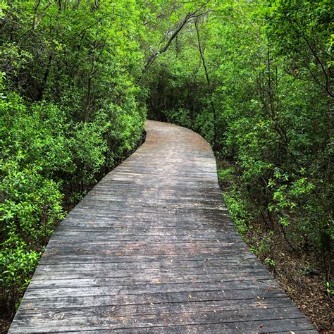 Florence Gardens - Real Estate Developer - Gulfport, Mississippi - 30