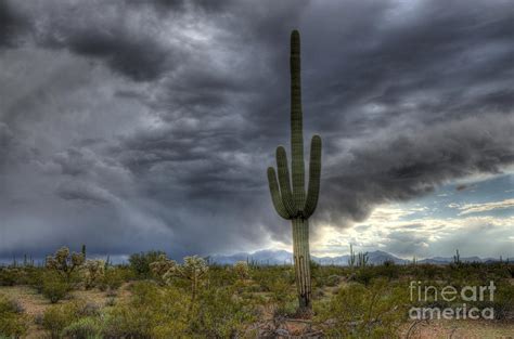 Desert Storm Arizona 1 Photograph By Bob Christopher Fine Art America