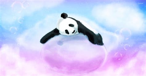 13 Panda Anime Wallpaper 1920x1080 Michi Wallpaper