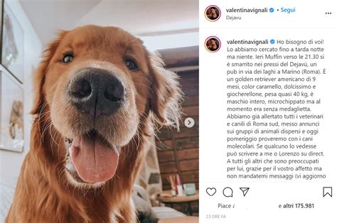 Ladri Svaligiano La Casa Di Valentina Vignali E Il Suo Cane Scompare