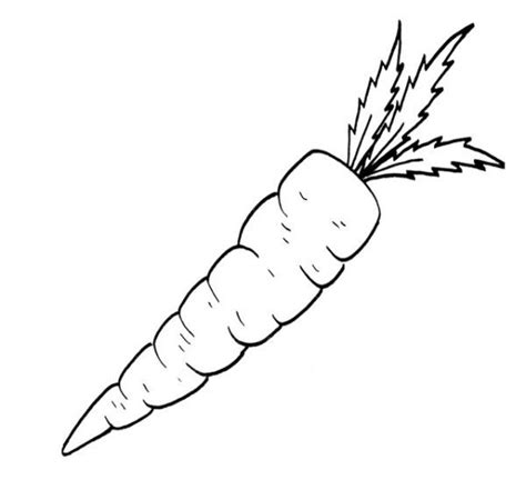 Printable Carrot Coloring Pages Pdf Free Coloringfolder Com