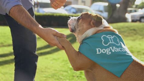 It's essentially the same business for dogs as airbnb is for people. DogVacay is Airbnb for your canines - The Verge