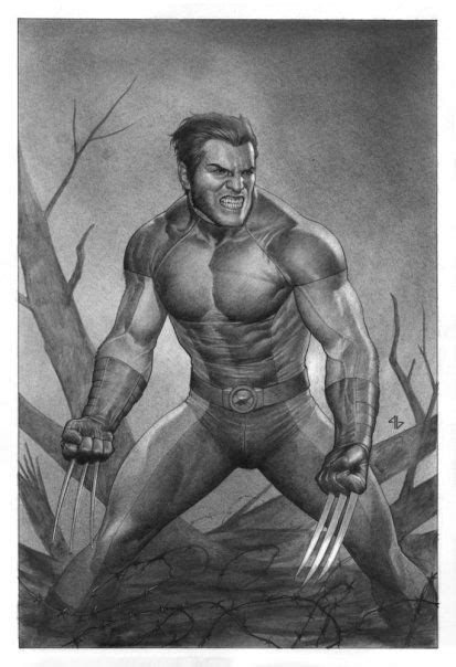 Wolverine By Adi Granov Fantasy Comics Marvel Comics Art Marvel
