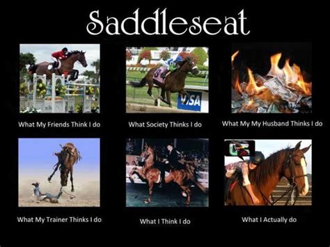 42 Best National Show Horse Images On Pinterest