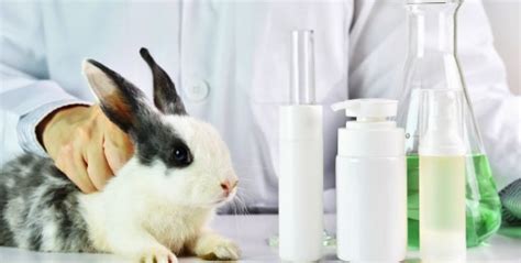 Cosmetics and a ban on animal testing - Capitol Weekly ...