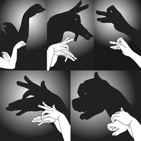 Cool Trick How To Get Into Making Shadow Puppets Cbc Life