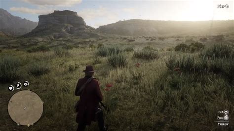 Red Dead Redemption 2: Where to Find Yarrow Plants
