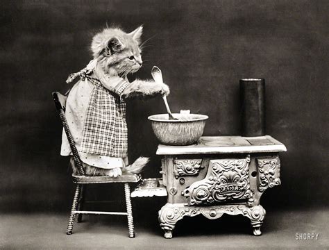 Cat Wearing Apron Stirring Pot On Miniature Stove As Seen On The