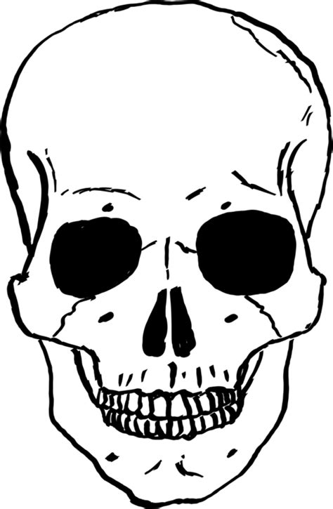 1080x1080 Cartoon Clipart Skulls 10 Free Cliparts Download Images On