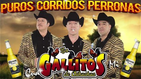 Los Gallitos De Chihuahua Puros Corridos 25 Exitos Mix Para Pistear