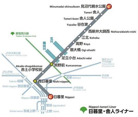 Tokyo Railway Labyrinth Tama Zoo Train On The Keio Line