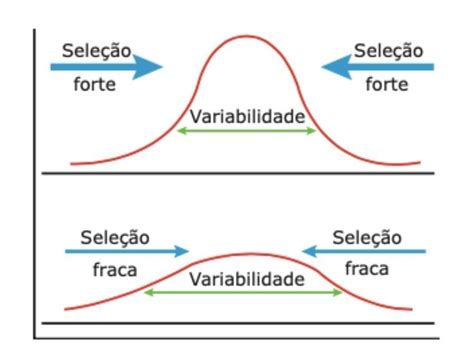 Sobre Responsabilidade Social é Correto Afirmar Exceto