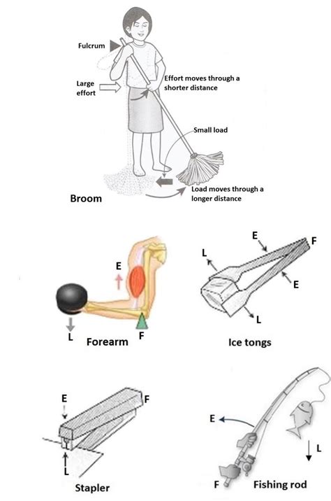 This group appears to be chaired by none other than james baker, former… Wonders of Science: CHAPTER 10: SIMPLE MACHINE