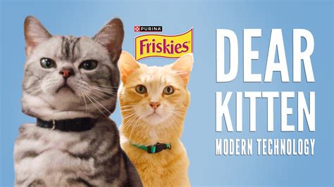 Friskies® And Buzzfeed Reboot ‘dear Kitten Hit Video Series