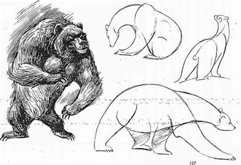 Bearscaricature Animal Drawing Joshua Nava Arts
