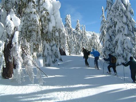 How To Snowshoe At Crater Lake National Park