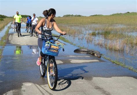 20 Best Florida Bike Trails Our Favorites For Scenic Bicycling In 2023