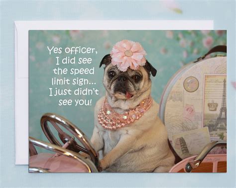 Funny Friendship Cards Yes Officer Funny Cards For Friends By Pugs