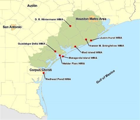 Tpwd Wetland Conservation And Management For The Texas Central Coast