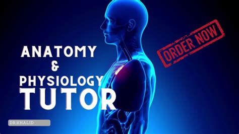 Be Your Anatomy Physiology Tutor By Drkhalid492 Fiverr