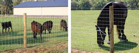 Maybe you would like to learn more about one of these? Install Fence Posts on Proper Side | The Red Brand Post