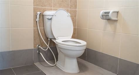 Benarkah Toilet Jongkok Lebih Sehat Dari Toilet Duduk Ini