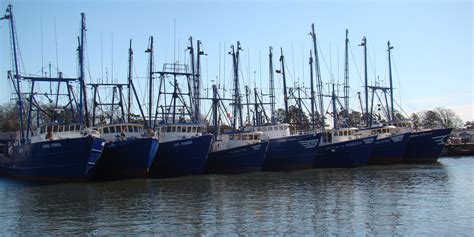 Blue Harvest Fisheries Sets Sights On Scallop Dominance