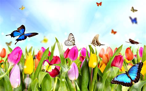 Here are top 10 spring coloring sheets free printables Spring Break - Tessa International School