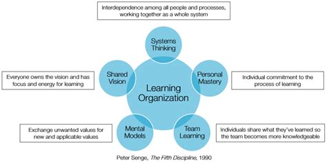 The Role Of Feedback In The Learning Organization