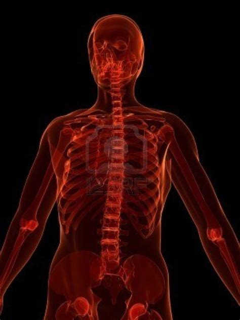 Smith/davis (c) 2005 prentice hall guidelines for critiquing psychological research literature  is the research question stated clearly? Animal Instincts of the Human Body: A Psychological and Skeletal Muscular Analysis of Adrenaline ...