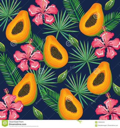 For tickets, news and more you can. Tropicana Cartoon Vector | CartoonDealer.com #4924653