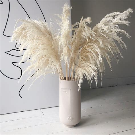 Fluffy Light Pampas Grass For Home Decor 1 Meter Tall Pampas Etsy
