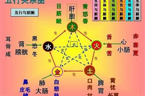 五行属土跟木命冲突吗？人与人之间的五行可以互补吗太岁若朴堂文化