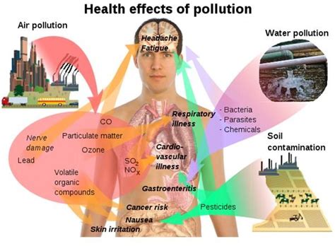 Effects Of Pesticides On The Environment