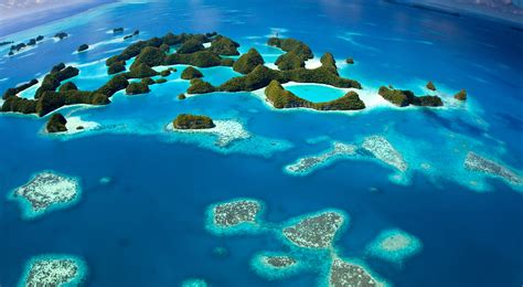 The Nature Conservancy In The Pacific Islands