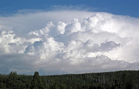 Cumulus Congestus Clouds 7 June 2016 Yellowstone Wyomi Flickr