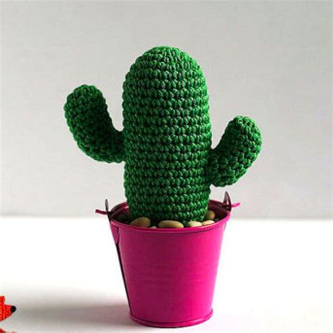 Can you crochet, but can't remember to water your houseplants? Cactus Crochet Kit — The Last Minute Gift Guide
