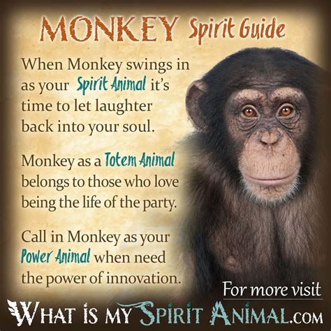 Monkey Spirit Totem And Power Animal Symbolism Meaning What Is My