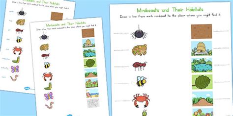 Minibeast Habitats Worksheet Twinkl Teacher Made Resources