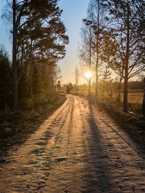 Winter Landscape Of Sunset Over The Country Road With Trees Stock Photo