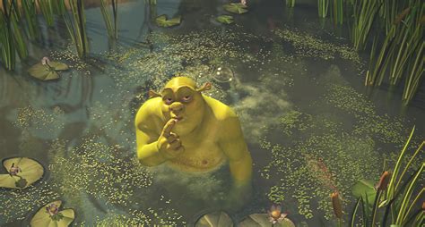 Not All Swamps Are As Cute As Shreks Updated