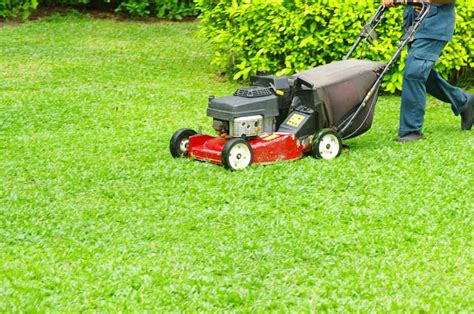 How To Mow A Lawn 2023 Yard Mowing And Cutting Grass Tips And Tricks