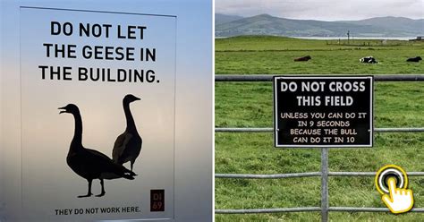 24 Funny Signs That Made Me Chuckle Today Bouncy Mustard