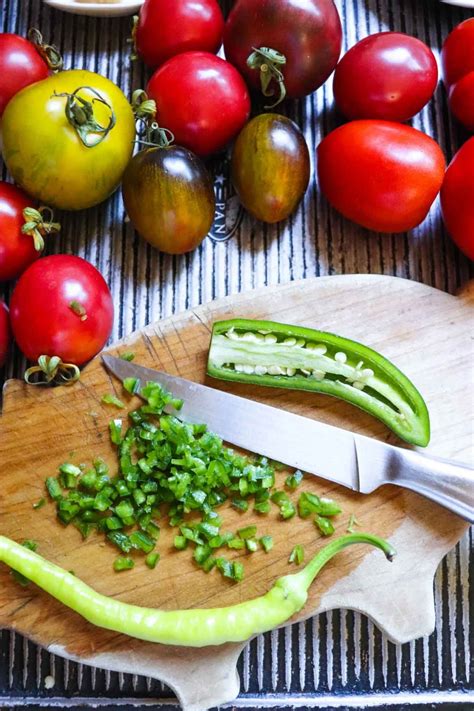Homemade Garden Fresh Tomato Salsa Recipe For Anytime