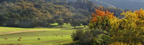 Wunderground Ojai