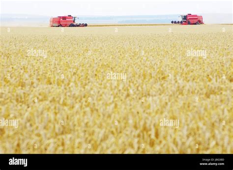 A Wheat Field Being Harvested Stock Photo Alamy